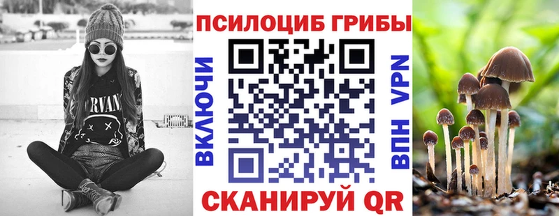 Псилоцибиновые грибы Magic Shrooms Сыктывкар